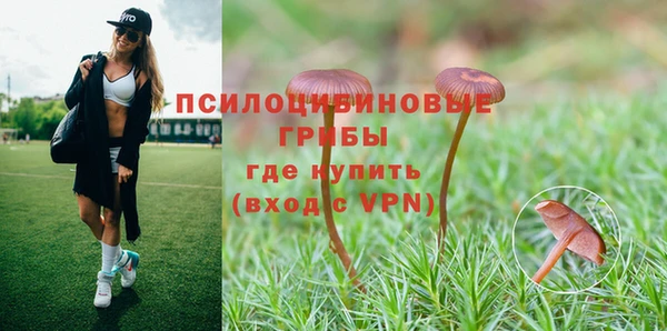 кокс Козловка