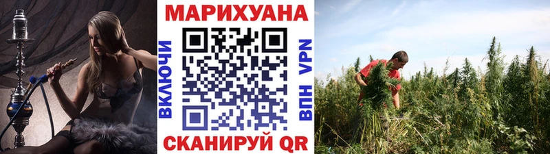 Купить где  Юрьев-Польский  Бошки марихуана SATIVA & INDICA 